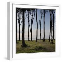 Cyclist (Female) Is Resting, Ghost Wood ('Gespensterwald'), Mecklenburg-Western Pomerania-Rainer Mirau-Framed Photographic Print