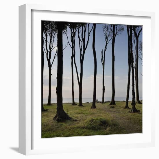 Cyclist (Female) Is Resting, Ghost Wood ('Gespensterwald'), Mecklenburg-Western Pomerania-Rainer Mirau-Framed Photographic Print