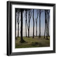 Cyclist (Female) Is Resting, Ghost Wood ('Gespensterwald'), Mecklenburg-Western Pomerania-Rainer Mirau-Framed Photographic Print