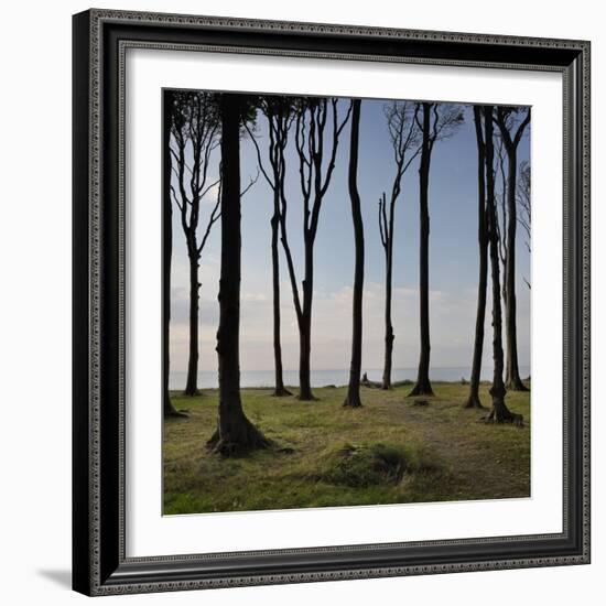 Cyclist (Female) Is Resting, Ghost Wood ('Gespensterwald'), Mecklenburg-Western Pomerania-Rainer Mirau-Framed Photographic Print