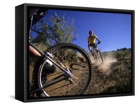 Cyclist in a Mountain Biking Race, Denver, Colorado, USA-null-Framed Stretched Canvas