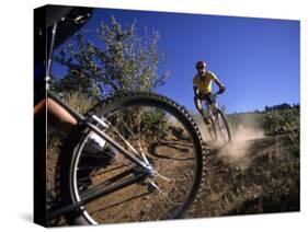 Cyclist in a Mountain Biking Race, Denver, Colorado, USA-null-Stretched Canvas