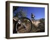 Cyclist in a Mountain Biking Race, Denver, Colorado, USA-null-Framed Premium Photographic Print