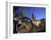 Cyclist in a Mountain Biking Race, Denver, Colorado, USA-null-Framed Premium Photographic Print