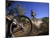 Cyclist in a Mountain Biking Race, Denver, Colorado, USA-null-Mounted Premium Photographic Print