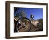 Cyclist in a Mountain Biking Race, Denver, Colorado, USA-null-Framed Photographic Print