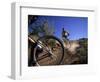 Cyclist in a Mountain Biking Race, Denver, Colorado, USA-null-Framed Photographic Print