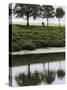 Cyclist on Banks of River Somme, St. Valery Sur Somme, Picardy, France-David Hughes-Stretched Canvas