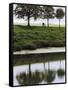 Cyclist on Banks of River Somme, St. Valery Sur Somme, Picardy, France-David Hughes-Framed Stretched Canvas