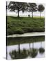 Cyclist on Banks of River Somme, St. Valery Sur Somme, Picardy, France-David Hughes-Stretched Canvas