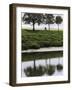 Cyclist on Banks of River Somme, St. Valery Sur Somme, Picardy, France-David Hughes-Framed Photographic Print