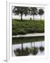 Cyclist on Banks of River Somme, St. Valery Sur Somme, Picardy, France-David Hughes-Framed Photographic Print