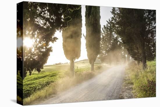 Cyclist on Dirt Road at Sunset, Tuscany, Italy-Peter Adams-Stretched Canvas