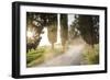 Cyclist on Dirt Road at Sunset, Tuscany, Italy-Peter Adams-Framed Photographic Print