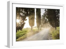 Cyclist on Dirt Road at Sunset, Tuscany, Italy-Peter Adams-Framed Photographic Print