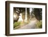 Cyclist on Dirt Road at Sunset, Tuscany, Italy-Peter Adams-Framed Photographic Print