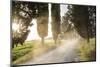 Cyclist on Dirt Road at Sunset, Tuscany, Italy-Peter Adams-Mounted Photographic Print