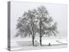 Cyclist Passes a Tree Covered with Snow, Southern Germany-null-Stretched Canvas