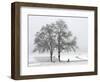 Cyclist Passes a Tree Covered with Snow, Southern Germany-null-Framed Photographic Print