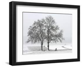 Cyclist Passes a Tree Covered with Snow, Southern Germany-null-Framed Photographic Print