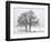 Cyclist Passes a Tree Covered with Snow, Southern Germany-null-Framed Photographic Print