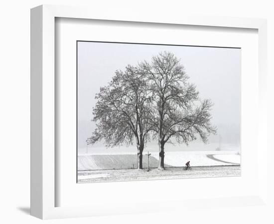 Cyclist Passes a Tree Covered with Snow, Southern Germany-null-Framed Photographic Print