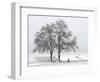 Cyclist Passes a Tree Covered with Snow, Southern Germany-null-Framed Photographic Print