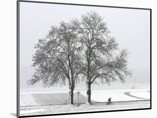 Cyclist Passes a Tree Covered with Snow, Southern Germany-null-Mounted Photographic Print