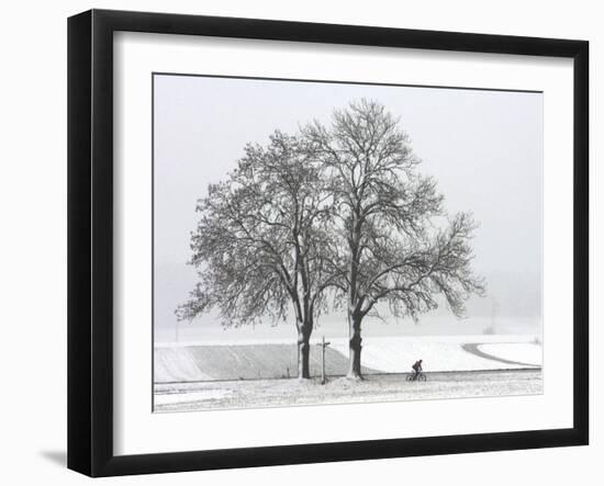 Cyclist Passes a Tree Covered with Snow, Southern Germany-null-Framed Photographic Print