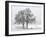 Cyclist Passes a Tree Covered with Snow, Southern Germany-null-Framed Photographic Print