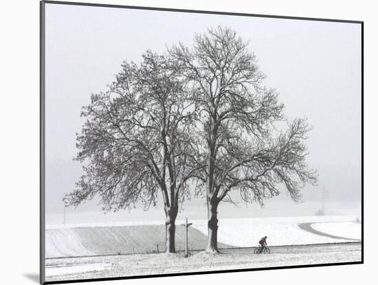 Cyclist Passes a Tree Covered with Snow, Southern Germany-null-Mounted Photographic Print