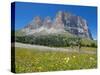 Cyclists and Sassolungo Group, Sella Pass, Trento and Bolzano Provinces, Italian Dolomites, Italy-Frank Fell-Stretched Canvas