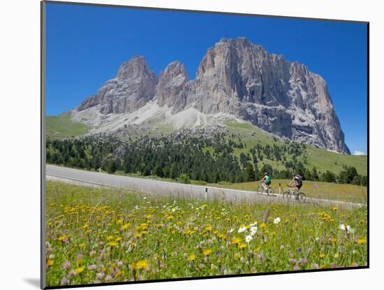 Cyclists and Sassolungo Group, Sella Pass, Trento and Bolzano Provinces, Italian Dolomites, Italy-Frank Fell-Mounted Photographic Print