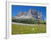 Cyclists and Sassolungo Group, Sella Pass, Trento and Bolzano Provinces, Italian Dolomites, Italy-Frank Fell-Framed Photographic Print