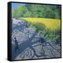 Cyclists and Yellow Field, Kedleston, Derby-Andrew Macara-Framed Stretched Canvas