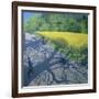 Cyclists and Yellow Field, Kedleston, Derby-Andrew Macara-Framed Giclee Print