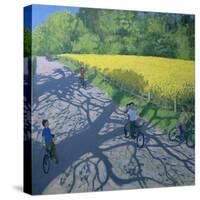 Cyclists and Yellow Field, Kedleston, Derby-Andrew Macara-Stretched Canvas