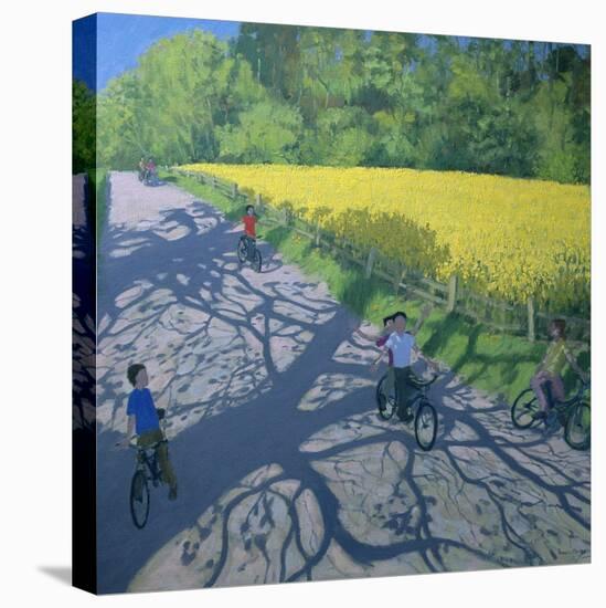 Cyclists and Yellow Field, Kedleston, Derby-Andrew Macara-Stretched Canvas