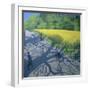 Cyclists and Yellow Field, Kedleston, Derby-Andrew Macara-Framed Giclee Print