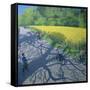 Cyclists and Yellow Field, Kedleston, Derby-Andrew Macara-Framed Stretched Canvas