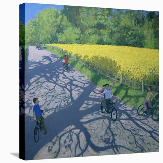 Cyclists and Yellow Field, Kedleston, Derby-Andrew Macara-Stretched Canvas