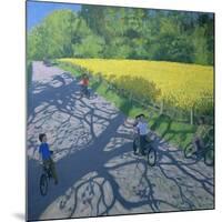 Cyclists and Yellow Field, Kedleston, Derby-Andrew Macara-Mounted Giclee Print