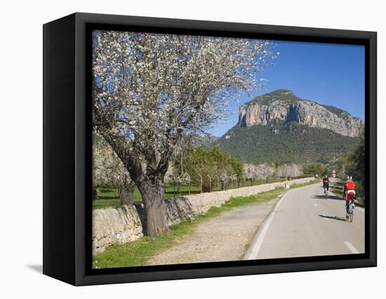 Cyclists on Country Road, Alaro, Mallorca, Balearic Islands, Spain, Europe-Ruth Tomlinson-Framed Stretched Canvas