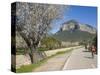 Cyclists on Country Road, Alaro, Mallorca, Balearic Islands, Spain, Europe-Ruth Tomlinson-Stretched Canvas