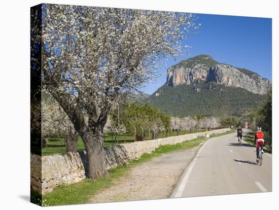 Cyclists on Country Road, Alaro, Mallorca, Balearic Islands, Spain, Europe-Ruth Tomlinson-Stretched Canvas
