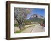 Cyclists on Country Road, Alaro, Mallorca, Balearic Islands, Spain, Europe-Ruth Tomlinson-Framed Photographic Print