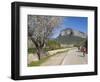 Cyclists on Country Road, Alaro, Mallorca, Balearic Islands, Spain, Europe-Ruth Tomlinson-Framed Photographic Print