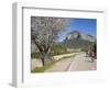 Cyclists on Country Road, Alaro, Mallorca, Balearic Islands, Spain, Europe-Ruth Tomlinson-Framed Photographic Print