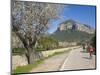 Cyclists on Country Road, Alaro, Mallorca, Balearic Islands, Spain, Europe-Ruth Tomlinson-Mounted Photographic Print