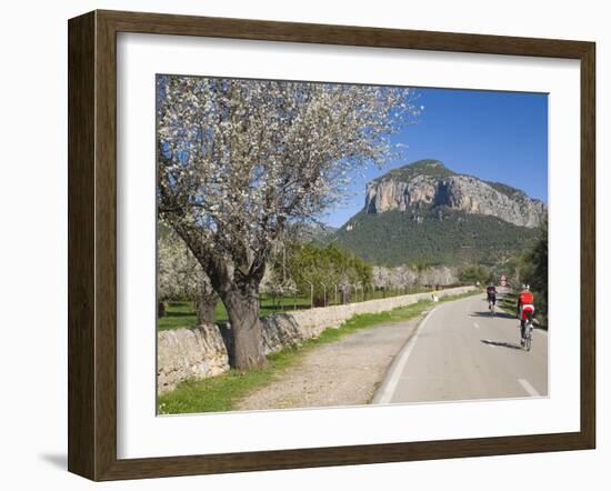 Cyclists on Country Road, Alaro, Mallorca, Balearic Islands, Spain, Europe-Ruth Tomlinson-Framed Photographic Print